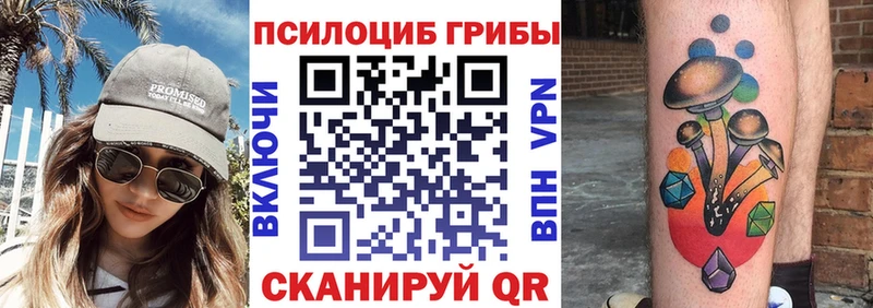 Псилоцибиновые грибы прущие грибы mega tor Ильский